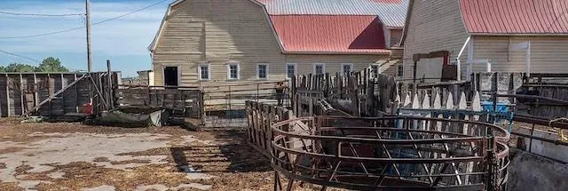 The Bocock/de Vos families were recently awarded Alberta's Century Farm and Ranch Award